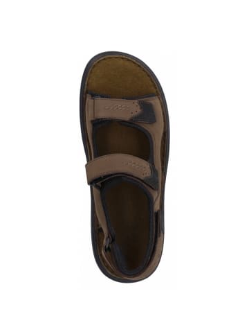 Josef Seibel Sandale Franklyn in Braun