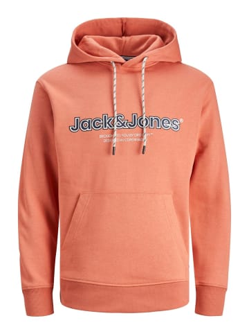Jack & Jones Sweatshirt JORLAKEWOOD in Orange