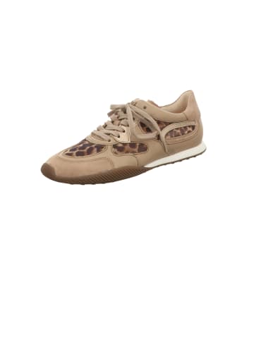 Gabor Schnürschuh in beige