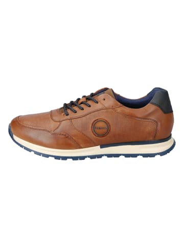 Bugatti Lowtop-Sneaker Stranger in cognac