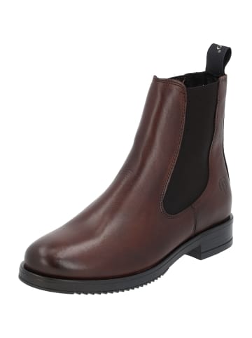 Palado Chelsea Boots Paros P in Dunkelbraun