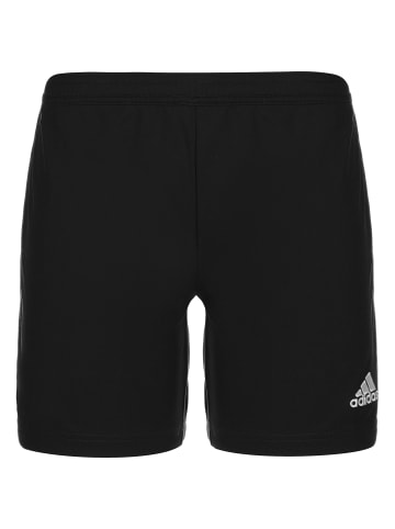 adidas Performance Trainingsshorts Entrada 22 in schwarz