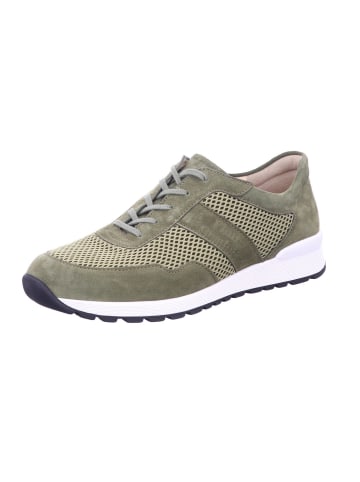 Finn Comfort Schnürschuh PREZZO in olive