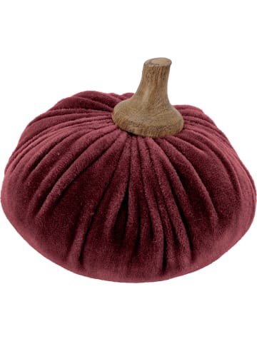 Home&Styling Collection Kürbis in rotwein