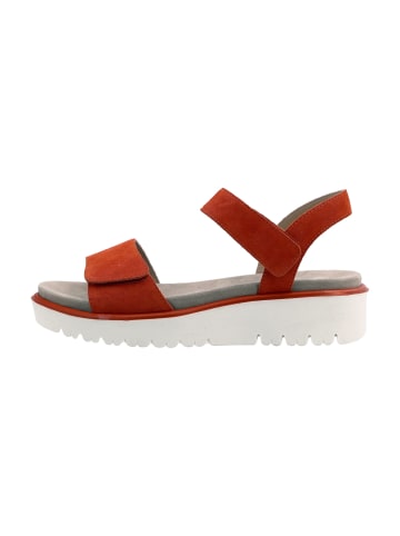 ara Sandalen in Rot