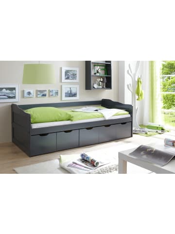 TICAA Sofabett Maria in Grau