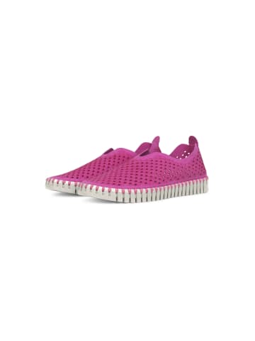 Ilse Jacobsen Sneaker Low TULIP3275 in rose violette