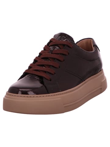 Paul Green Sneaker in braun