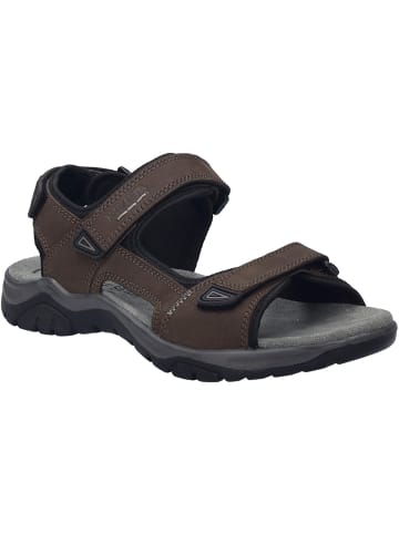 Josef Seibel Freizeitschuhe in braun in braun