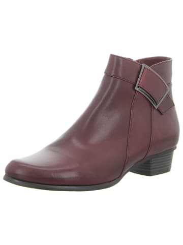 Regarde le Ciel Klassische Stiefelette in bordeaux