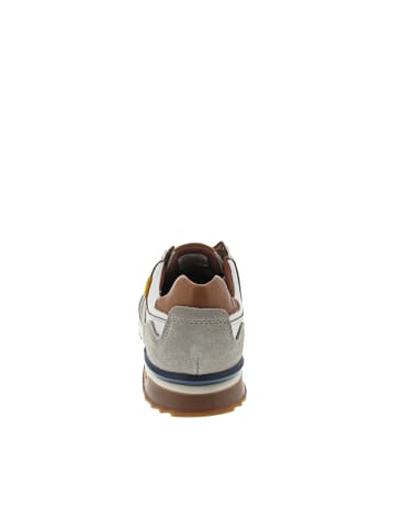 Camel Active Sneaker low Weiß