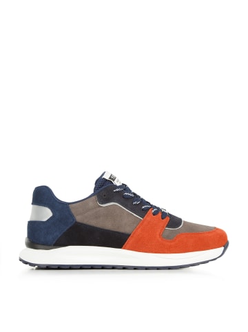 Wittchen Sneakers - premium brand leather shoes in Multicolor