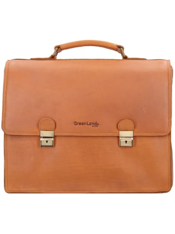 Greenland Nature Aktentasche RFID Schutz Leder 40 cm Laptopfach braun