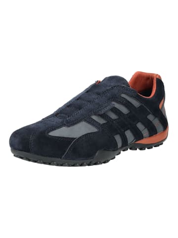 Geox Sneaker in Navy
