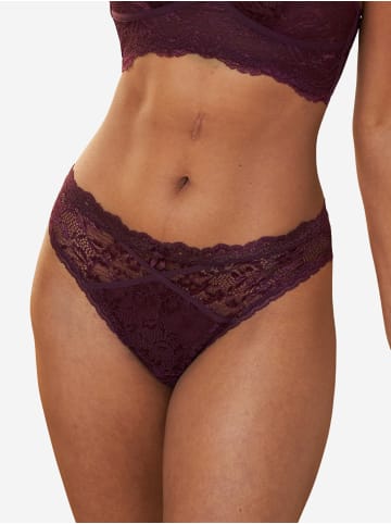 SugarShape Brazilian-Slip ELIANAVELVET in maroon