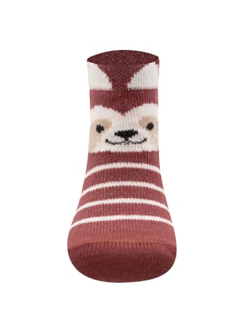 ewers 2er-Set Socken 2er Pack Waschbär in beige meliert