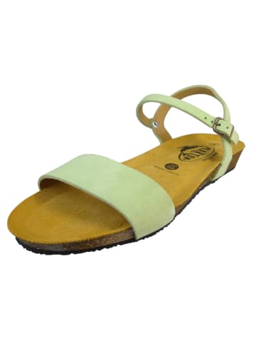 Plakton Sandalen grün