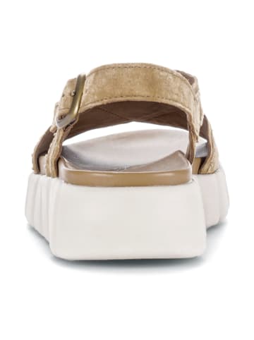 Gabor Comfort Sandalen in Braun