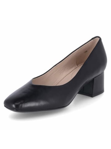 Caprice Pumps in Schwarz