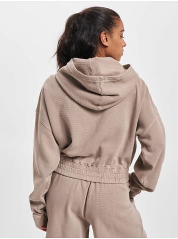 Calvin Klein Calvin Klein Kapuzenpullover in shitake