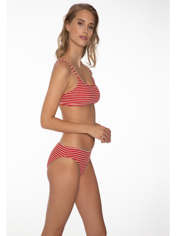 Protest " HAILEY in Clay