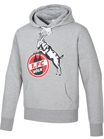 Fußballverein 1. FC Köln Hoodie "Hoodie Basic" in Grau