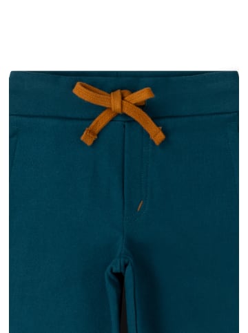 Little Green Radicals Comfy Jogger Shorts in Blue