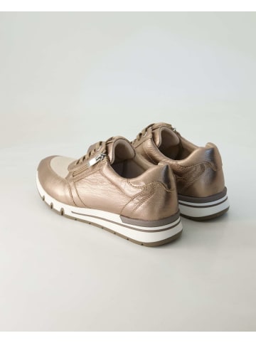 Terry Sneaker low in Gold