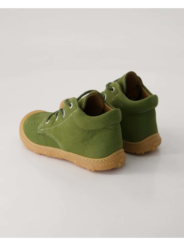 PEPINO Schnürschuhe in Grün