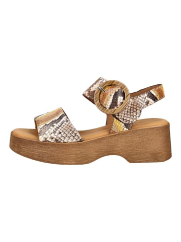 Gabor Sandalen Multi