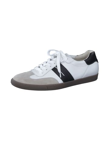Paul Green Schnürschuhe in white combi