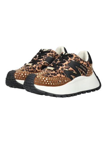 Steve Madden Sneaker Braun/Schwarz
