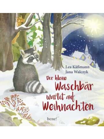 bene! Verlag Buch - Der kleine Waschbär wartet auf Weihnachten - ein Bilderbuch fü