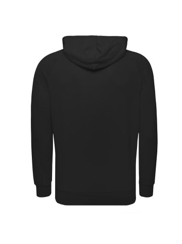 Hummel Kapuzenpullover Isam 2.0 in schwarz