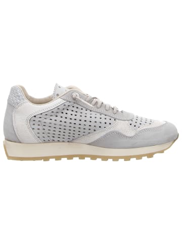 Cetti Sneaker Low in grau