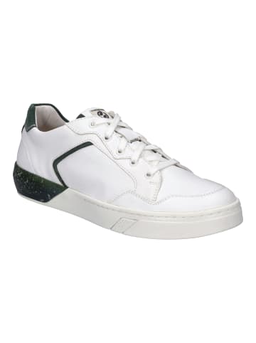 Josef Seibel Sneaker Fred 02 in weiss-grün