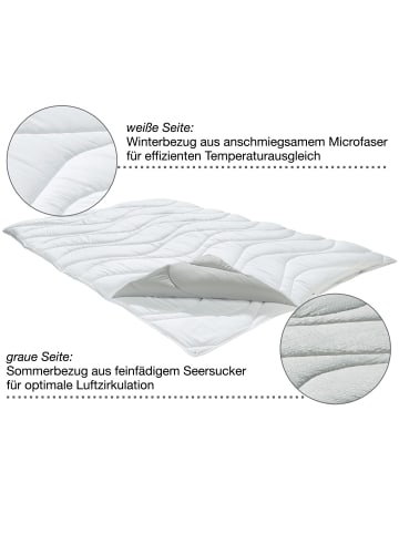 Erwin Müller Textilfaser Wende-Vier-Jahreszeiten-Bett Amper in weiß/grau