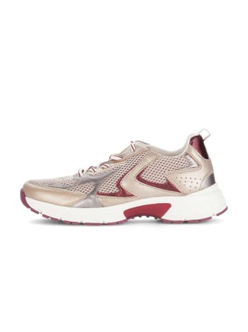 Gabor Sneaker low in multicolour