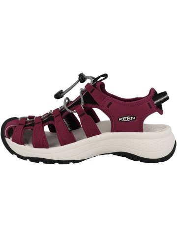 Keen Sandale Astoria West in rot