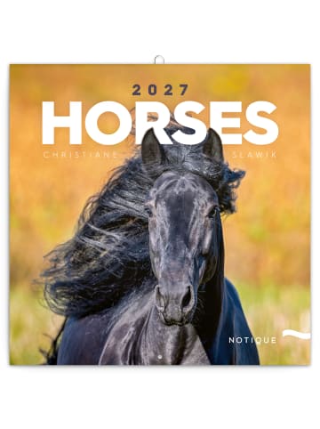 NOTIQUE Wandkalender 2027 Kalendarium in Horses – Christiane Slawik - 30 x 30 cm