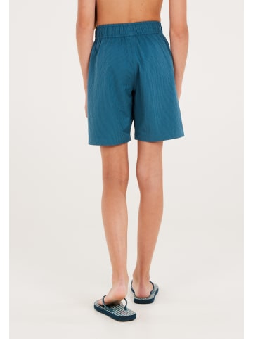 Protest " PRTHAILY JR in Raku Blue