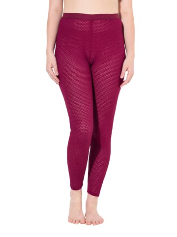 Ulla Popken Strumpfhose in dunkle beere