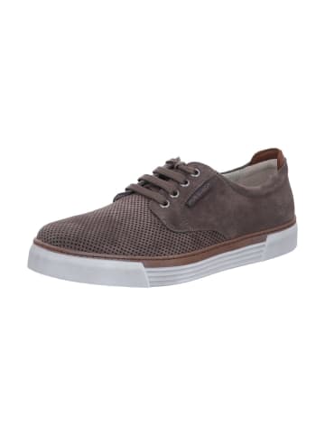 Pius Gabor Sneaker in braun