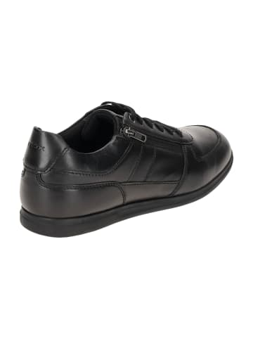 Geox Sportliche Schnürschuhe in Schwarz