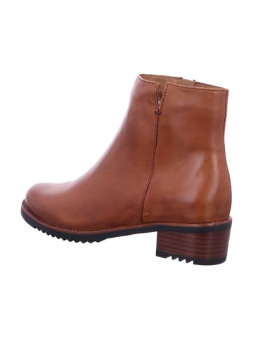 Everybody Boot in braun