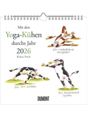 DuMont Kalenderverlag Kalender - DUMONT - Mit den Yoga-Kühen durchs Jahr 2026 - Wandkalender - Q