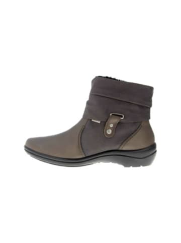 WESTLAND Stiefeletten für Damen in grau in grau