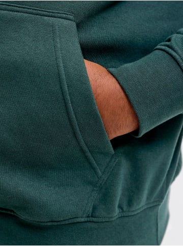 JACK & JONES PLUS Kapuzenpullover in Scarab