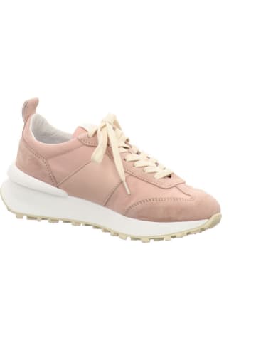 Apple of Eden Sneaker in rosa