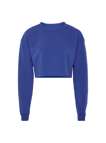 NALLY Sweatshirt in Kobalt